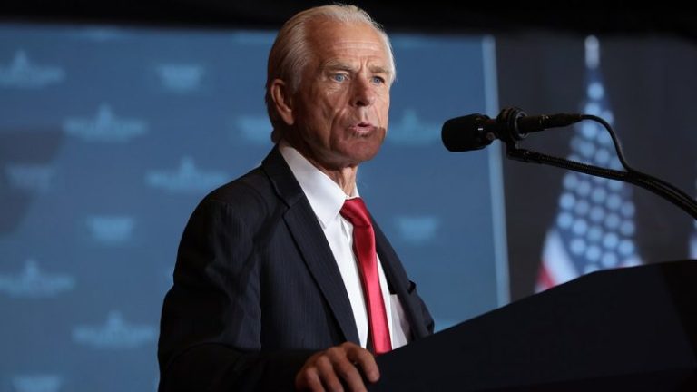 Musk spars with White House trade advisor Peter Navarro: ‘Dumber than a sack of bricks’