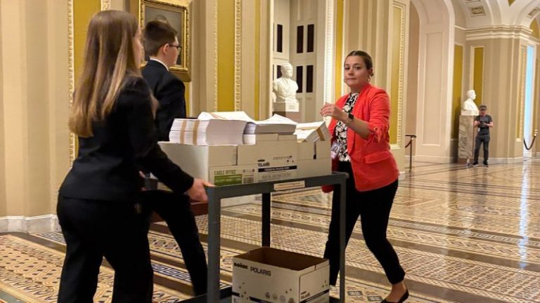 Americans weigh in on Trump’s ‘big, beautiful bill’: polls