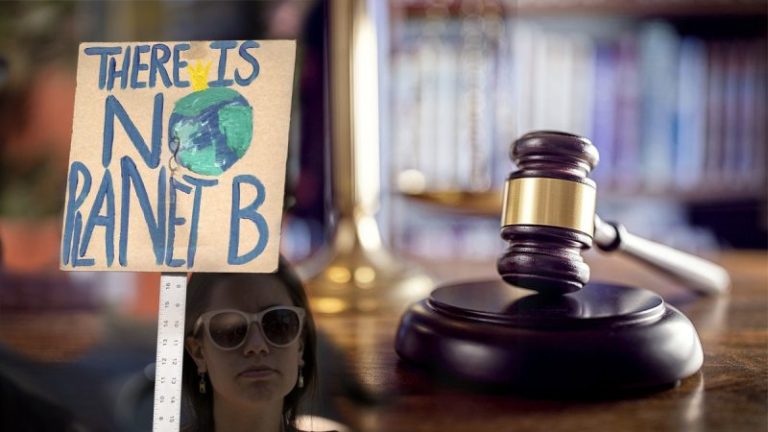 Top energy group calls for probe into secretive ‘national lawfare campaign’ to influence judges on climate